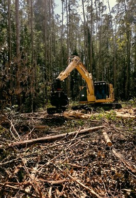 The image showcases a forestry machine in action, surrounded by a lush green forest backdrop. At the forefront of the machine, hydraulic cylinders are prominently displayed.